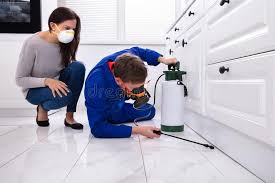 Trusted North Lakes, AK Pest control Experts